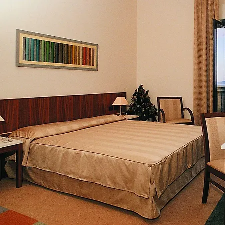 Hotel Europa Palace