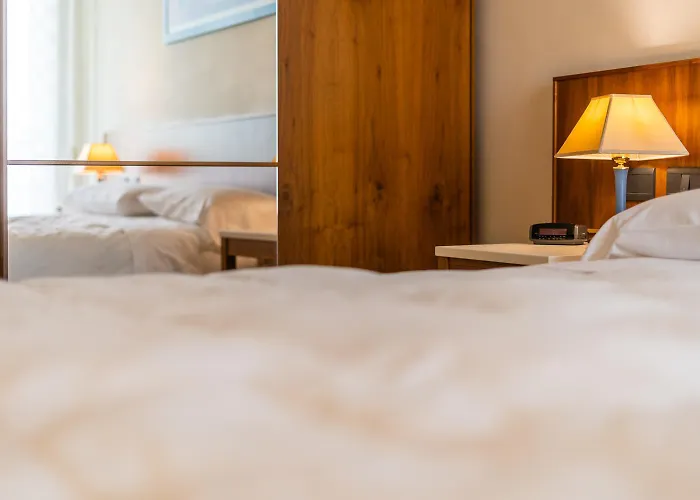 Europa Palace فندق